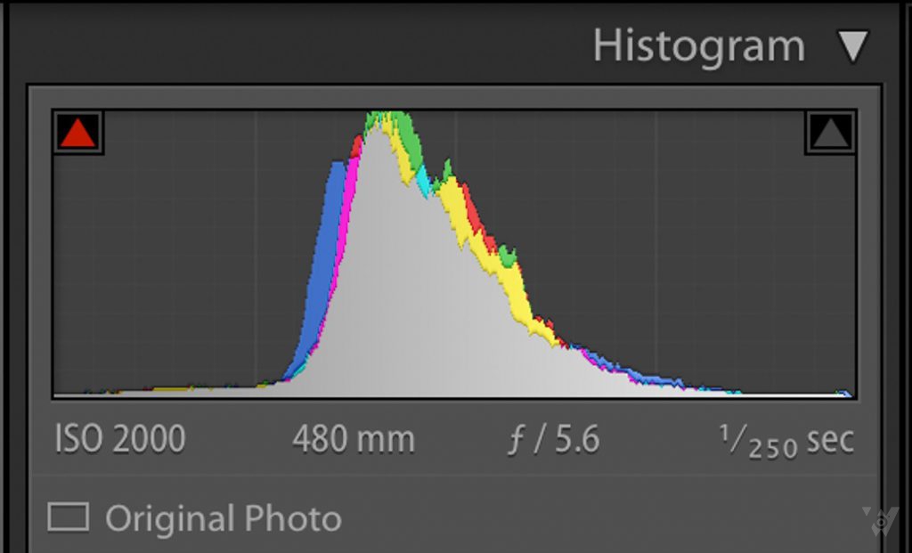 6_Clarity_Histogram_Before-1024x621.jpg