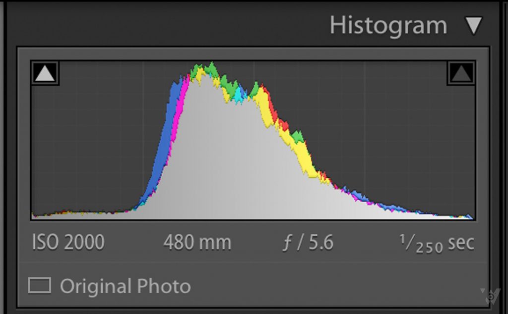 8_Clarity_Histogram_After-1024x634.jpg